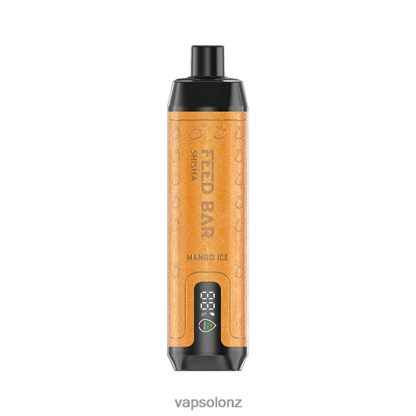 VapSolo Buy - VapSolo SHISHA Disposable Vape 0R8629 Mango Ice