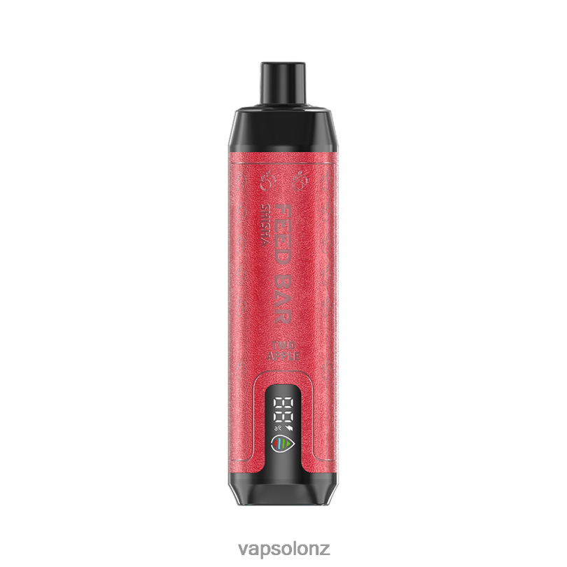 VapSolo Wellington - VapSolo SHISHA Disposable Vape 0R86212 Two Apple