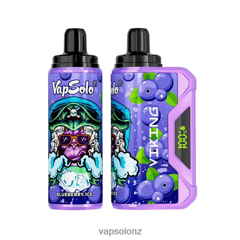 VapSolo NZ - VapSolo VIKING Disposable Vape 0R86236 Blueberry